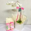 Orquídea com Kit Natura