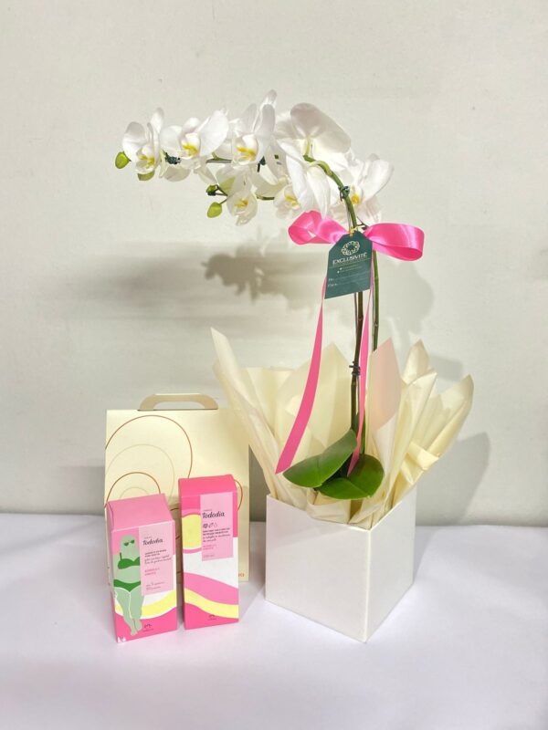 Orquídea com Kit Natura