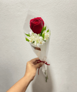 Rosa Vermelha com Alstromeria