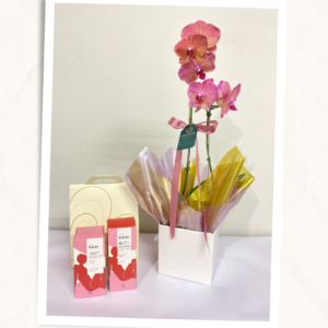Orquídea com Kit Natura