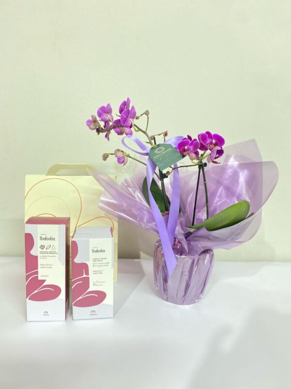 Orquídea com kit Natura