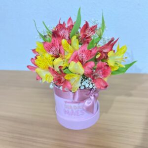 Mini Box de Alstromerias